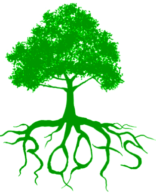 Roots Booster Packs
