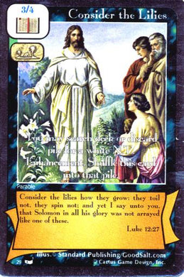 Consider the Lilies (TxP) - Your Turn Games
