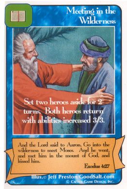 Meeting in the Wilderness (G Deck) - Your Turn Games